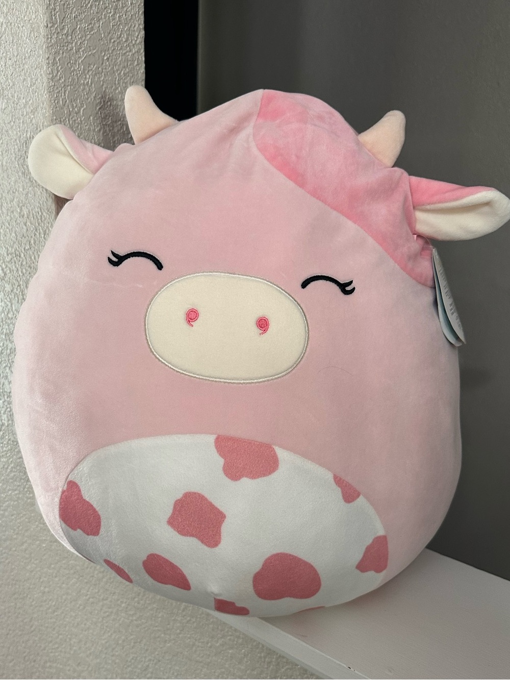 Clay the pink cow